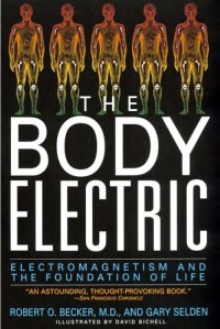 The Body Electric: Electromagnetism and The Foundation of Life