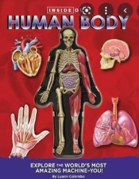 Image of HUMAN BODY
