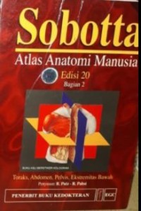 Sobotta: Atlas Anatomi Manusia: Toraks, Abdomen, Pelvis, Ektremitas Bawah